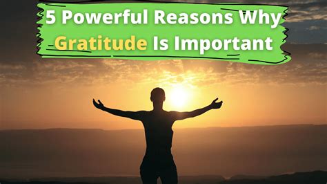 5 Powerful Reasons Why Gratitude Is Important