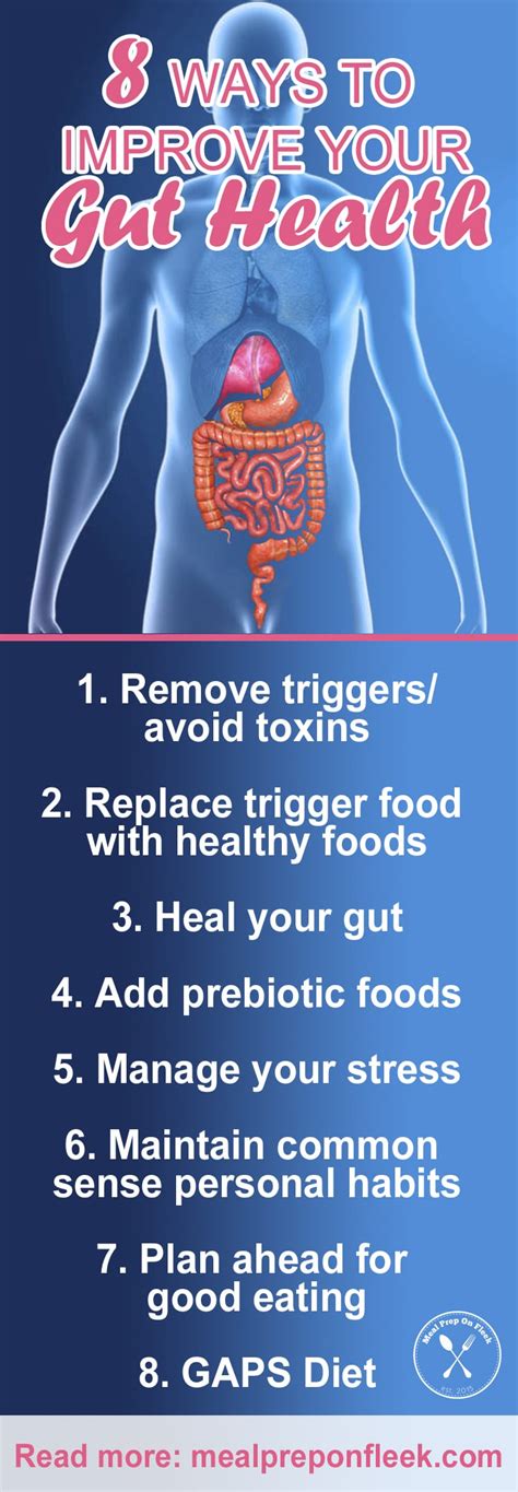Easy Guide To Gut Health