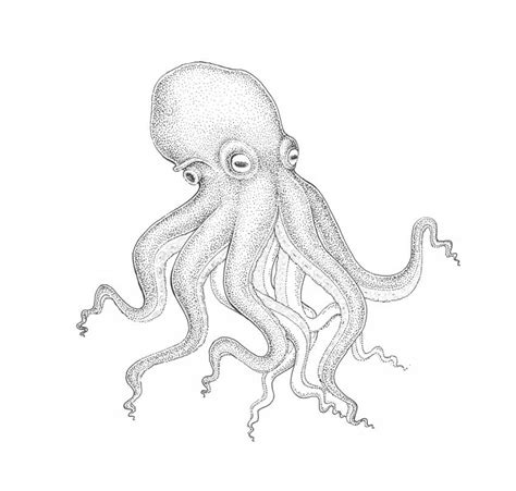 how to draw an octopus step by step