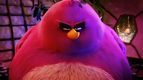 Angry Birds Terence Meme Hd Template Youtube