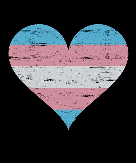 Download Transgender Flag Heart Vector Illustration Wallpaper