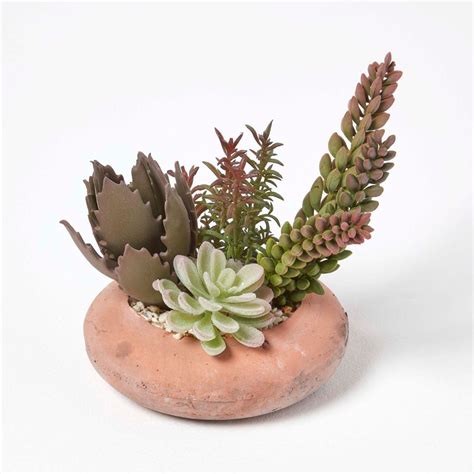 Artificial Succulent Arrangement In Decorative Round Terracotta Pot