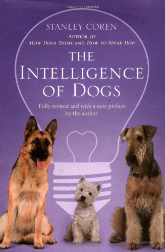 Oh Que Perro La Inteligencia De Los Perros