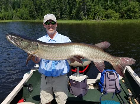 How To Catch Muskellunge Muskies