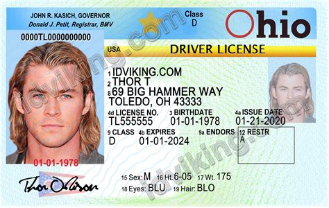 Free Ohio Drivers License Templates Taiatone