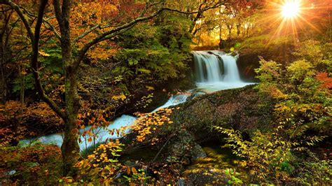 Waterfalls Stream Between Green Yellow Leafed Autumn Trees Rocks In
