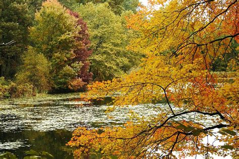 7 Stunning Spots To View Fall Foliage In Westchester And The Hudson