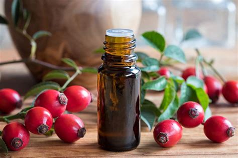 Rosehip oil is also used to fight oxidants which can cause hair loss. 5 Miraculous Rosehip Oil Recipes for Overall Nourishment ...