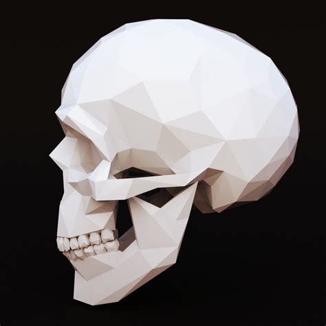 Human Skull 3d Model Turbosquid 1230642