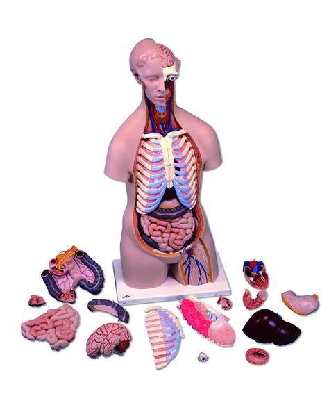 Unique gifter is full of creative touches, fun ideas, and ways to save on gifts. 15 Useful and Fun Gift Ideas for Medical Students!