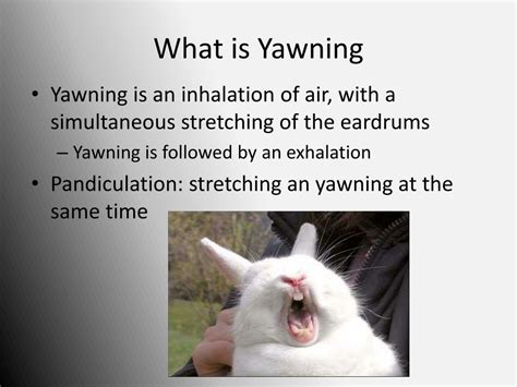 Ppt Why Is Yawning Contagious Powerpoint Presentation Free Download