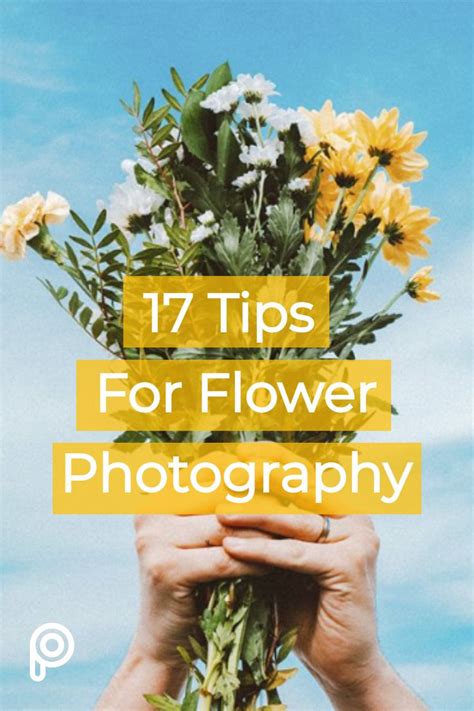 Ultimate Guide To Flower Photography 17 Tips And Ideas Picsart Blog Flowers Photography