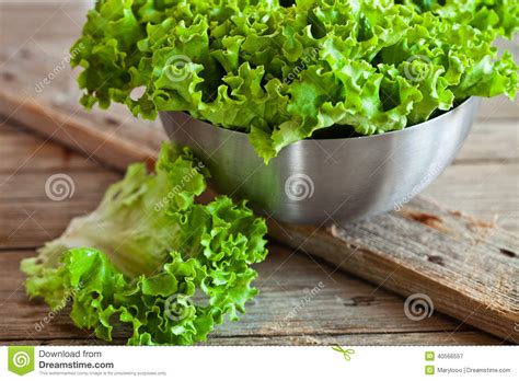 Lettuce Salad In Metal Bowl Stock Image Image Of Cooking Eating