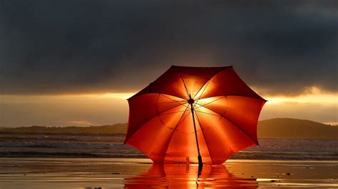 Orange Umbrella Hd 4k Wallpaper Amazing Photography Beautiful