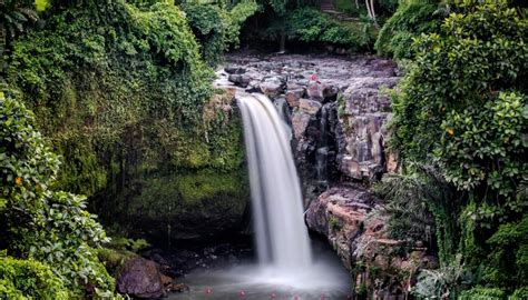 Tegenungan Waterfall Bali Indonesia Waterfalls Crag Moss Hd