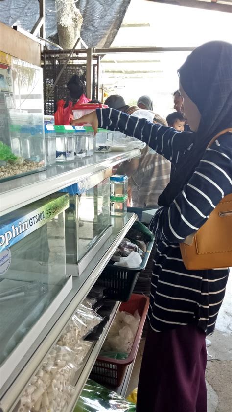 Inovasi aquarium beralamat dijalan bukit barisan pekanbaru. Travelog Ayish & Famili: HOBI : SHOPPING IKAN DAN AKSESORI ...