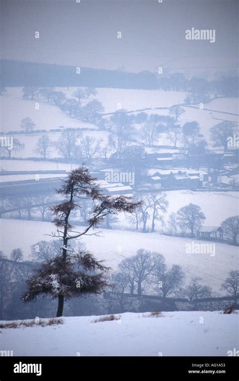 Winter Scene In North Yorkshire England Uk Stock Photo Alamy