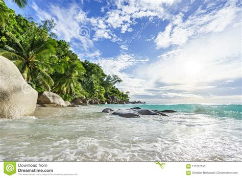 Paradise Tropical Beach With Rockspalm Trees And