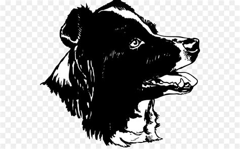 Free Border Collie Head Silhouette Download Free Border Collie Head