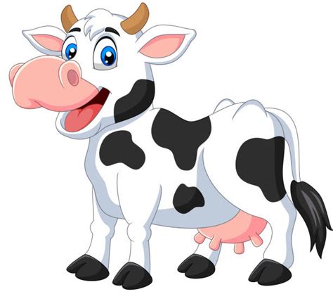 Cow Face Funny Backgrounds Illustrations Royalty Free Vector Graphics