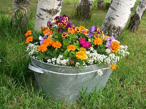 Container Gardening Ideas For Beginners