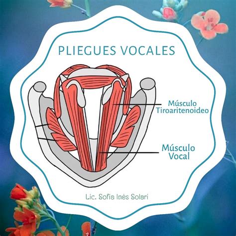 Pin En Salud Vocal