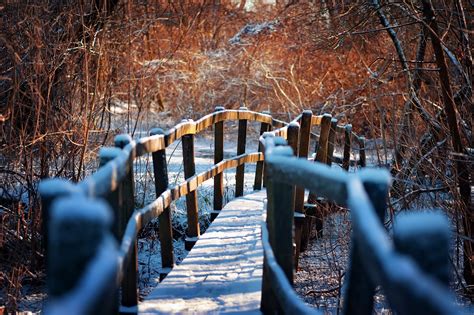 Snow Covered Wooden Bridge In The Forest Desktop Wallpapers 1440x900