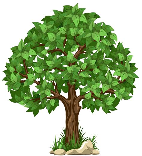 A Transparent Tree White Transparent Transparent Tree Png Clipart Picture Png Download