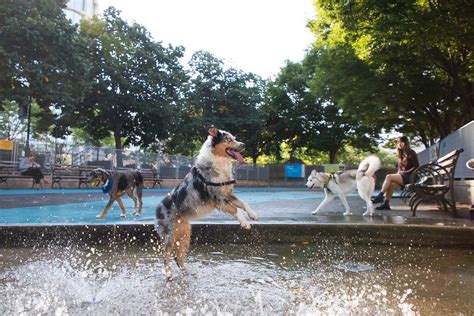 Leroy Street Dog Park — Hudson River Park