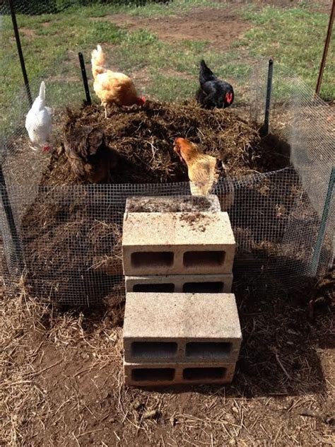Drive me 'round the block. Composting With Chickens: Putting Your Chickens To Work ...