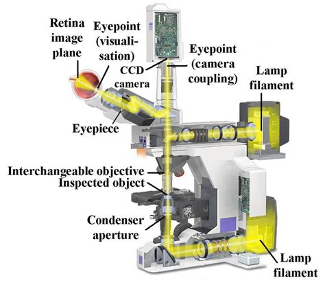 Structure Of An Optical Light Microscope With A Coupled Camera Left