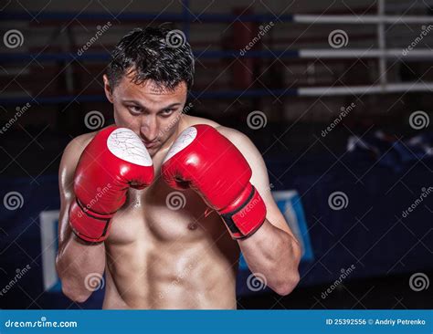Boxer Gloves On In Training Attitude Stock Photo Image Of Hand