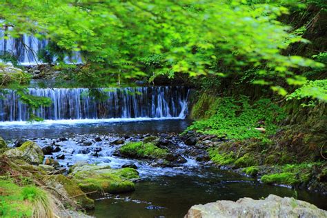 新緑の美しい貴船川 美しい風景 京都おすすめ観光スポット 美しい自然