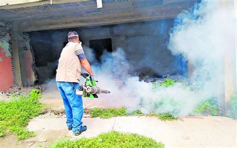 Bajan Casos Probables De Dengue En Sinaloa El Sol De Mazatl N