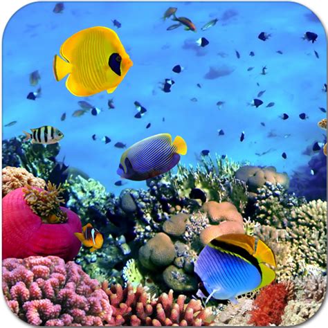App Insights Beautiful Underwater Sea Life Apptopia