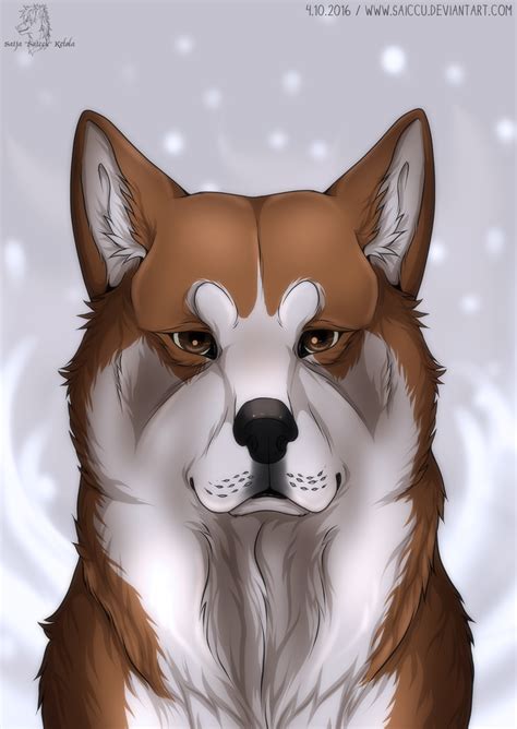 Akita By Saiccu On Deviantart