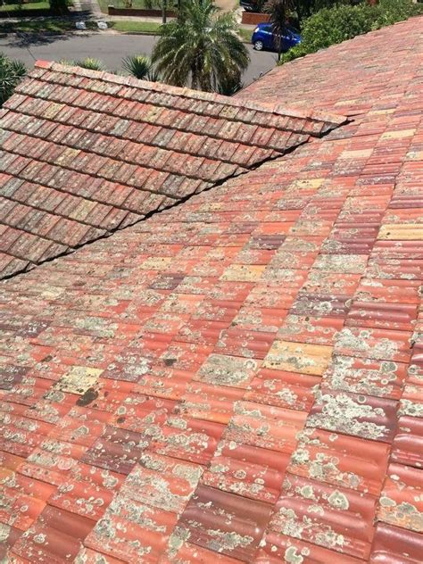 Yes We Can Paint Terracotta Tiles In 2021 Roof Restoration Roof