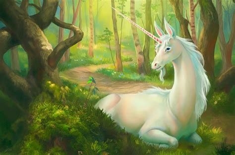 Gato Unicornio En La Vida Real 5 Mysterious Unknown Mythical