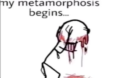 Y Metamorphosis Begins Ifunny