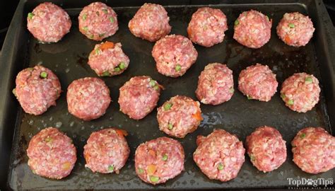 Homemade Ground Beef Dog Food Recipe Video And Instructions