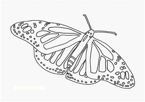 Printable butterflies coloring page to print and color for free. Free Printable Butterfly Coloring Pages For Kids