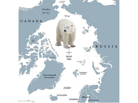 Where Do Polar Bears Live Worldatlas