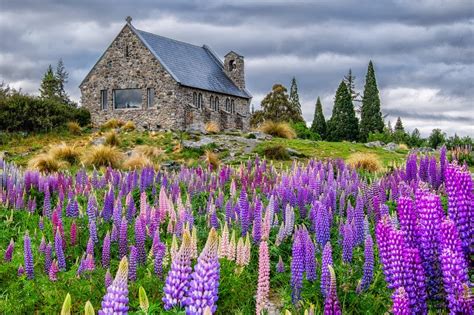 New zealand memang terkenal dengan pesona alamnya yang indah, sehingga tak heran jika banyak turis yang ingin pergi ke negara tersebut. 5 Tempat Menarik Bercuti di New Zealand | PEMUBURU BADAI