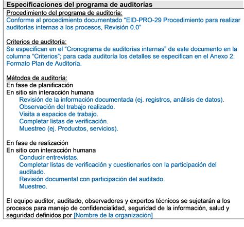 Plan De Auditoria Interna De Una Empresa Ejemplo Opciones De Ejemplo