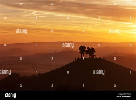 Dorset Sunrise At Colmers Hill Showing Trees On A Hill Stock Photo Alamy