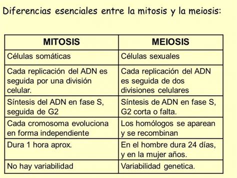 Diferencias Entre Mitosis Y Meiosis Cuadro Comparativo