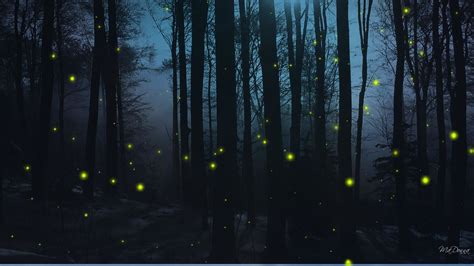 Anime The Forest Of Firefly Lights Wallpapers Wallpaper Cave