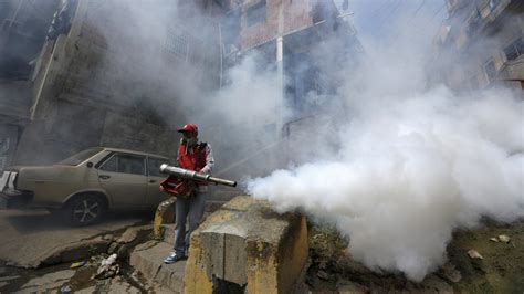 The Zika Virus Is Still A Threat Heres What The Experts Know The