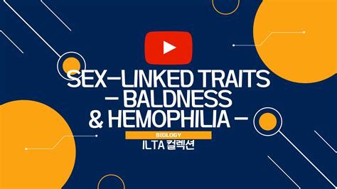 Youtube Poster Image Ilta Collection Biology Sex Linked Traits Baldness And Hemophilia Eu 메듀케이션