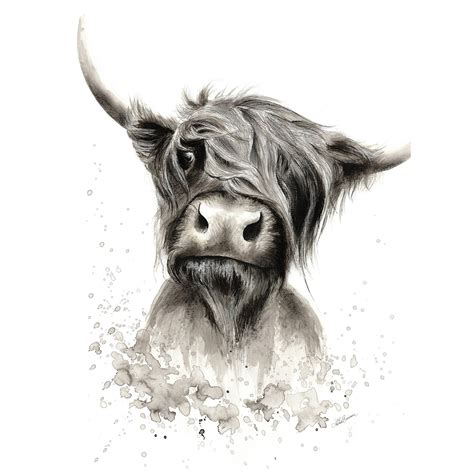 Highland Cow Illustration Farmhouse Print By Astrid Brisson Cow